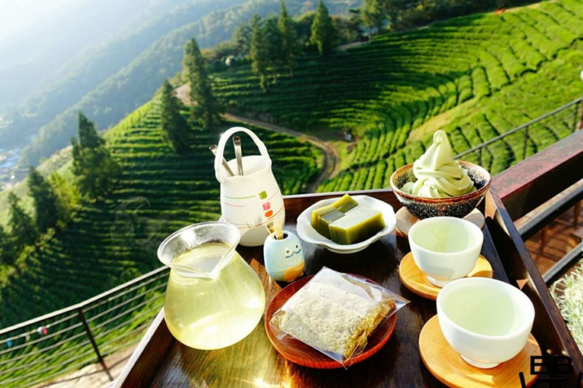 darjeeling tea