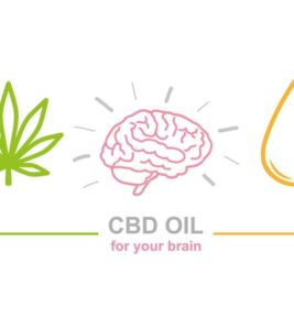 cbd-brain