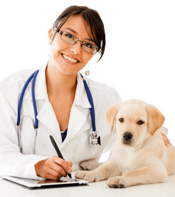 NAVLE Prep: Benefits of Vet Basic Science Course